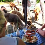 Nana Mac D'hotes Frühstückspension