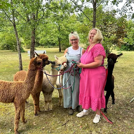 Frühstückspension Nana Mac D'hotes Limalonges