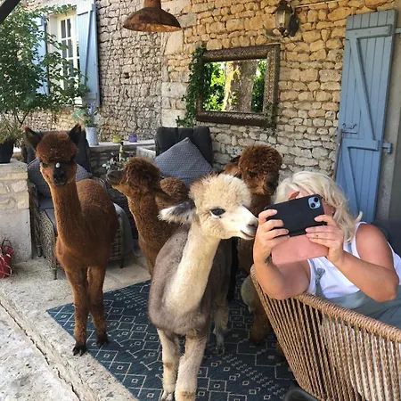 Nana Mac D'hotes Frühstückspension Limalonges