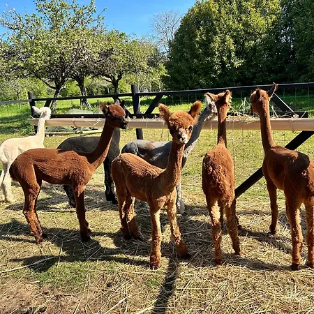 Frühstückspension Nana Mac D'hotes 3*