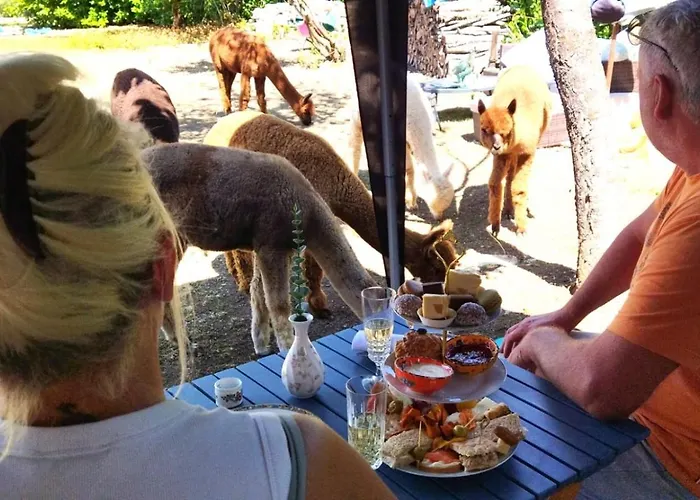 Nana Mac D'hotes Nocleg ze śniadaniem