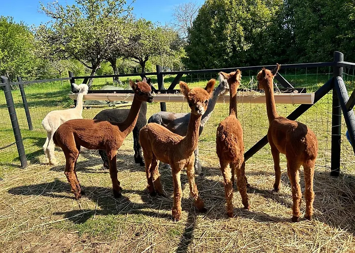 Nocleg ze śniadaniem Nana Mac D'hotes 3*
